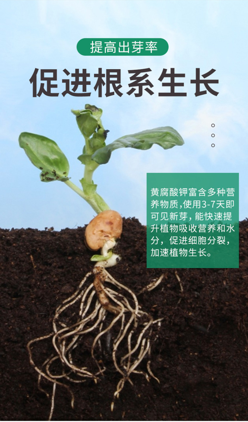 矿源黄腐酸钾厂家直销，***********