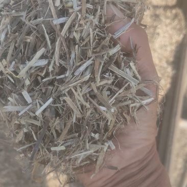 出售花生秧除膜小草
