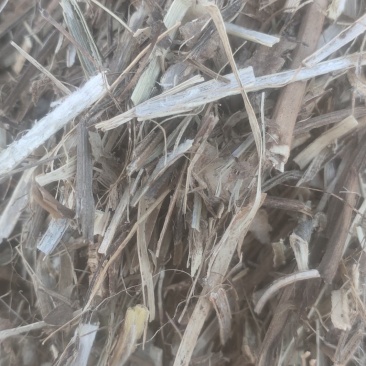 出售花生秧除膜小草黄白少黑无土无膜无霉变过风选