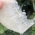 【电商一件代发】正宗砀山青皮密梨皇冠梨黄梨翠玉梨酥脆一号