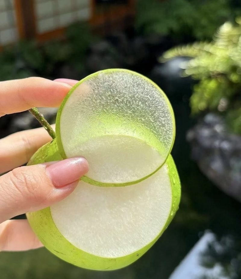 【电商一件代发】正宗砀山青皮密梨皇冠梨黄梨翠玉梨酥脆一号