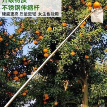 摘水果神器伸缩杆高空摘枇杷柿子果葡萄苹果杨梅农具桃子采摘果器