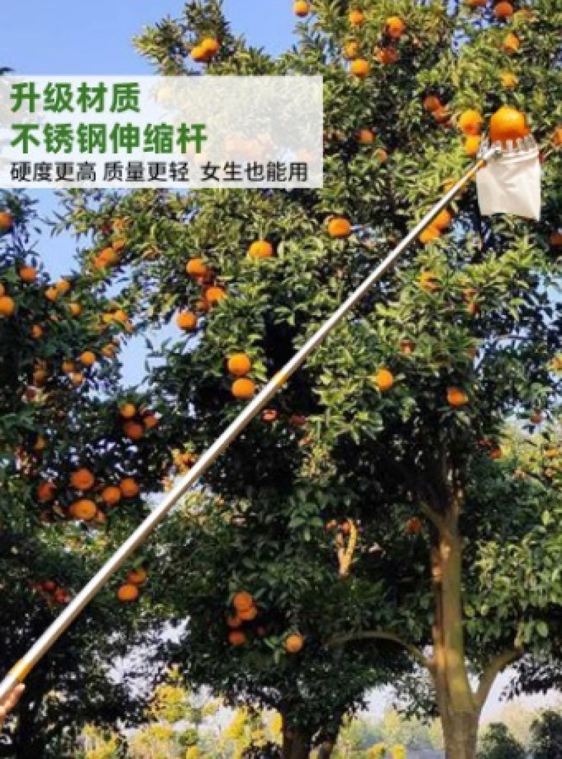 摘水果神器伸缩杆高空摘枇杷柿子果葡萄苹果杨梅农具桃子采摘果器