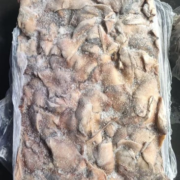 厂家直销，鱿鱼下角料30吨