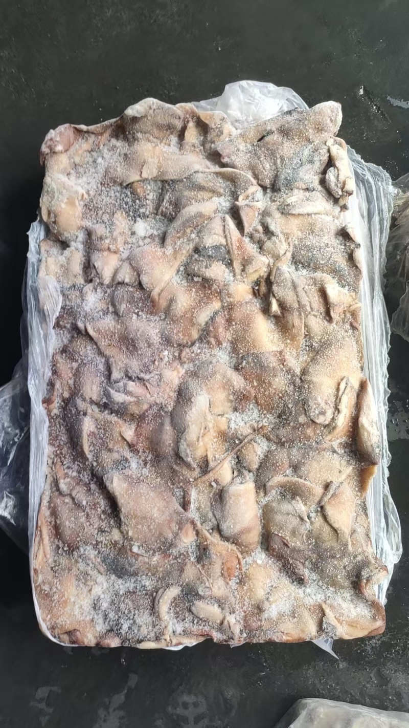 厂家直销，鱿鱼下角料30吨