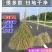 竹扫把大扫把大号老式马路扫帚庭院户外工厂车间专用土笤帚小扫把