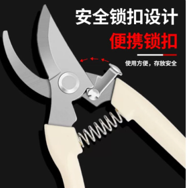 不锈钢树枝修枝剪采摘水果花木剪园林果树花卉枝嫁接园艺剪刀工具