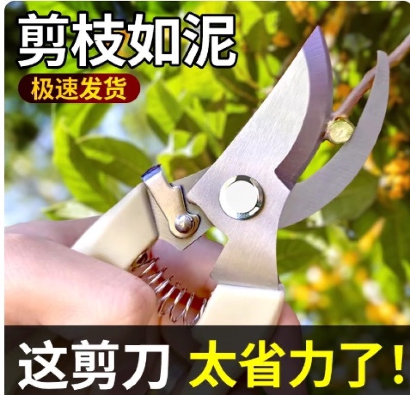 不锈钢树枝修枝剪采摘水果花木剪园林果树花卉枝嫁接园艺剪刀工具