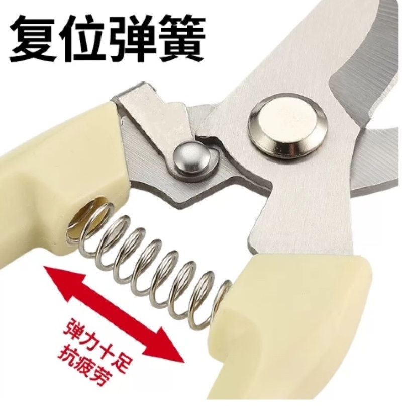 不锈钢树枝修枝剪采摘水果花木剪园林果树花卉枝嫁接园艺剪刀工具
