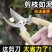 不锈钢树枝修枝剪采摘水果花木剪园林果树花卉枝嫁接园艺剪刀工具