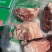 鲜品分割去骨肘子，纯干货，8一9一10个头都有