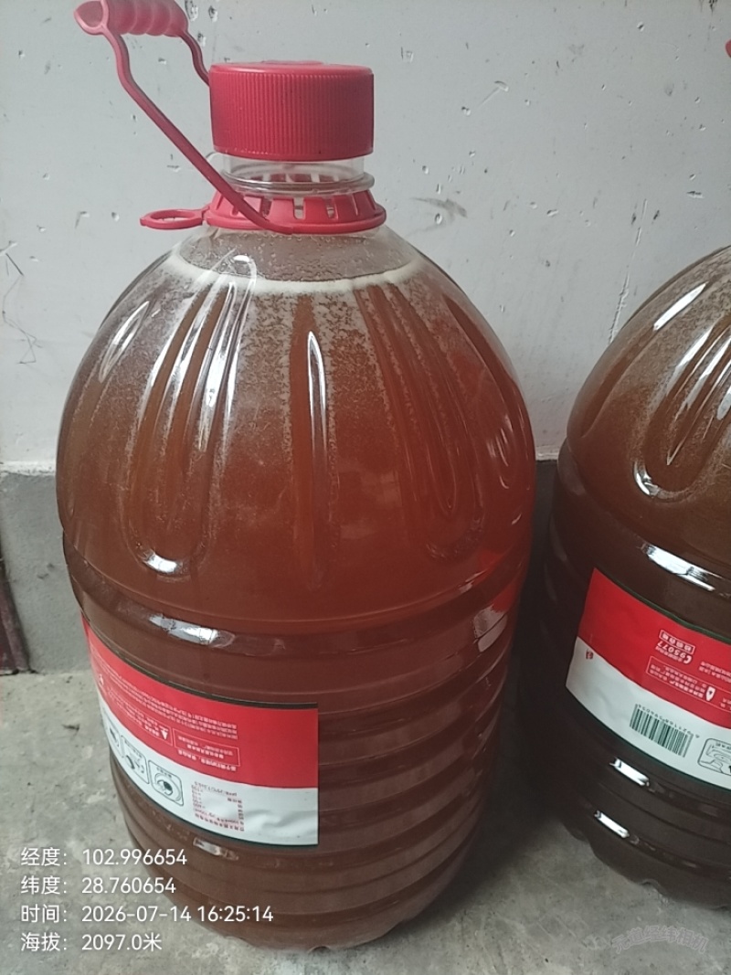 海拔两千多米的林场百花蜜