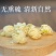 茉莉花茶2026新茶广西横县茉莉雪球特级干花苞泡茶浓香型