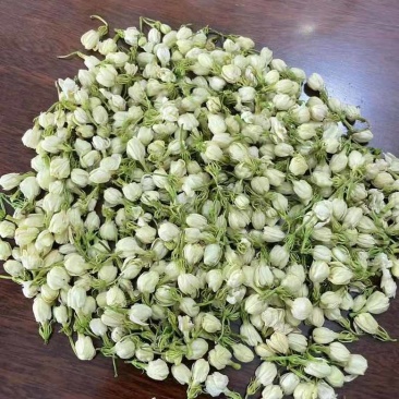 横县茉莉花蕾干