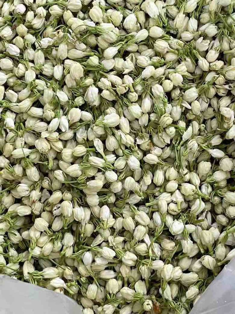 横县茉莉花蕾干