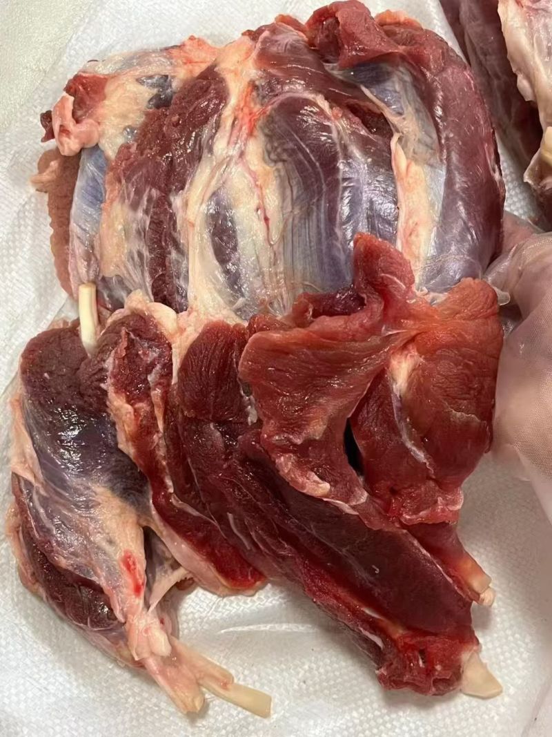 纯干无水鲜腱子肉