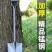 锰钢铁锹大铁锨家种菜工兵铲工具铲户外铲子车载铲撬挖土小挖沙雪