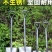 锰钢铁锹大铁锨家种菜工兵铲工具铲户外铲子车载铲撬挖土小挖沙雪