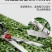 日本质造园艺剪家用草坪修剪花草剪修剪树枝神器绿篱剪粗枝大剪刀