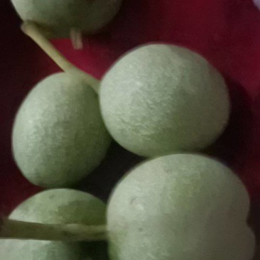 青皮核桃