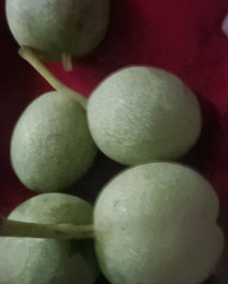 青皮核桃