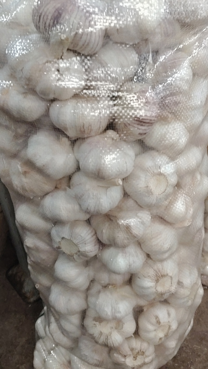 精品大蒜洋葱代办加工一条龙服务