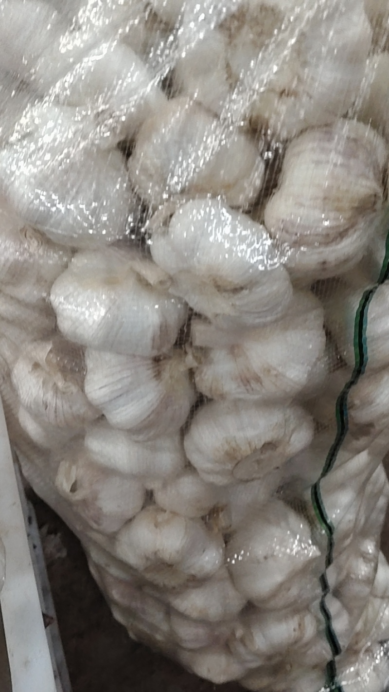 精品大蒜洋葱代办加工一条龙服务