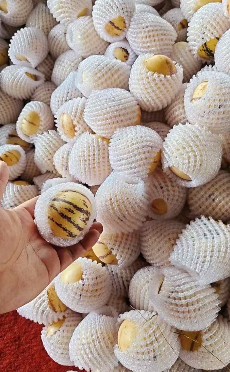 精品人参果，只做树上自然熟