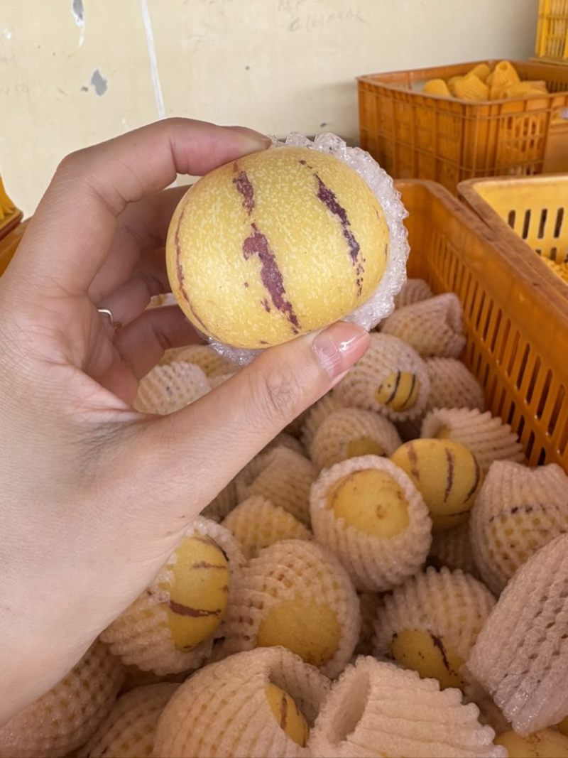 精品人参果，只做树上自然熟