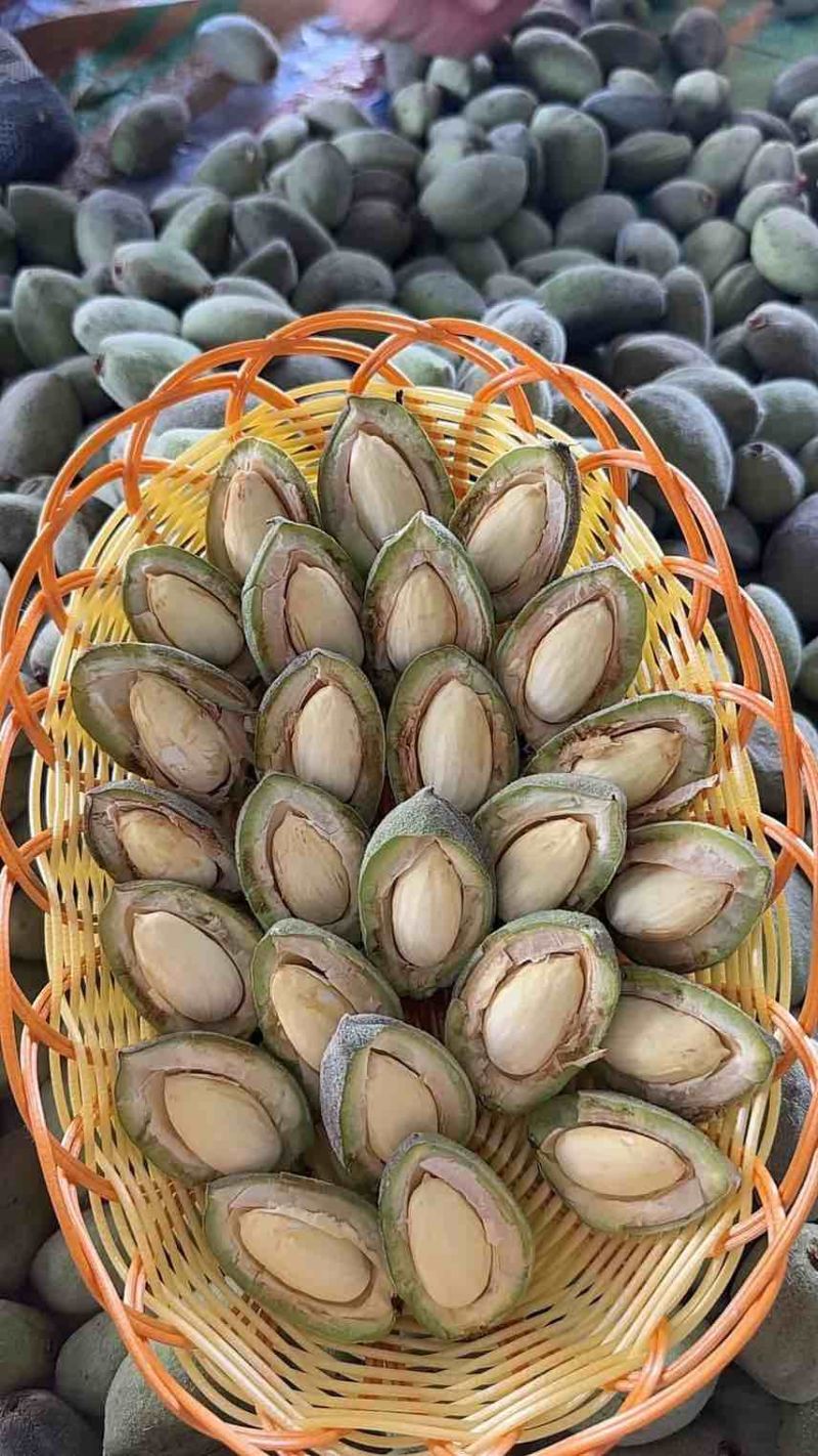 电商供应链一键代发各种坚果