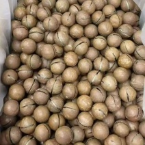 电商一件代发各种坚果凉皮