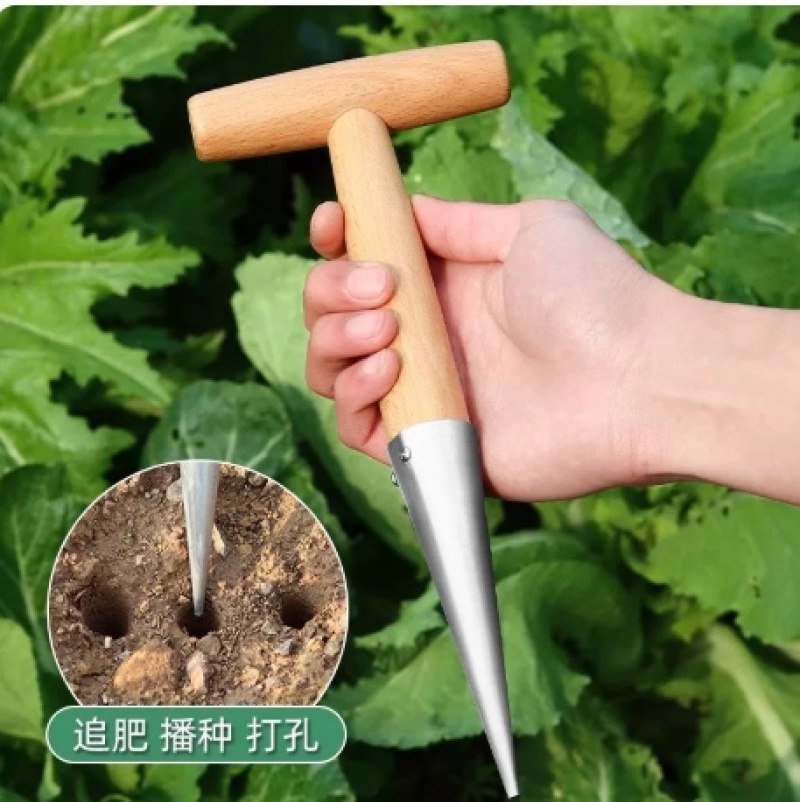 播种打洞器移苗追肥种菜不锈钢育苗菜籽多肉工具播籽花园种苗神器