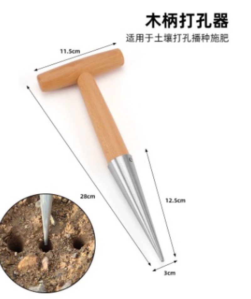 播种打洞器移苗追肥种菜不锈钢育苗菜籽多肉工具播籽花园种苗神器