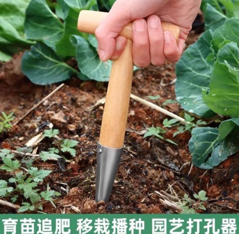 播种打洞器移苗追肥种菜不锈钢育苗菜籽多肉工具播籽花园种苗神器