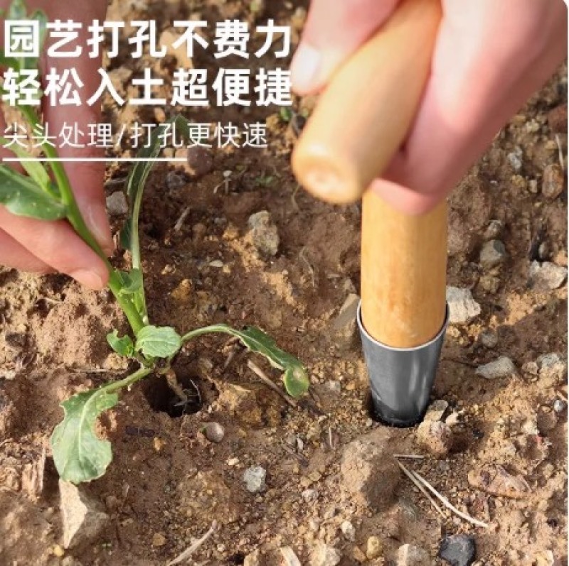 播种打洞器移苗追肥种菜不锈钢育苗菜籽多肉工具播籽花园种苗神器