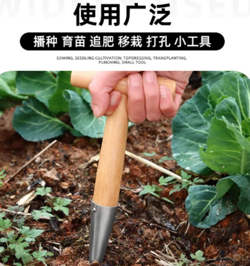 播种打洞器移苗追肥种菜不锈钢育苗菜籽多肉工具播籽花园种苗神器