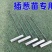 插葱苗工具栽葱工具小葱插苗器葱叉子葱插插葱工具