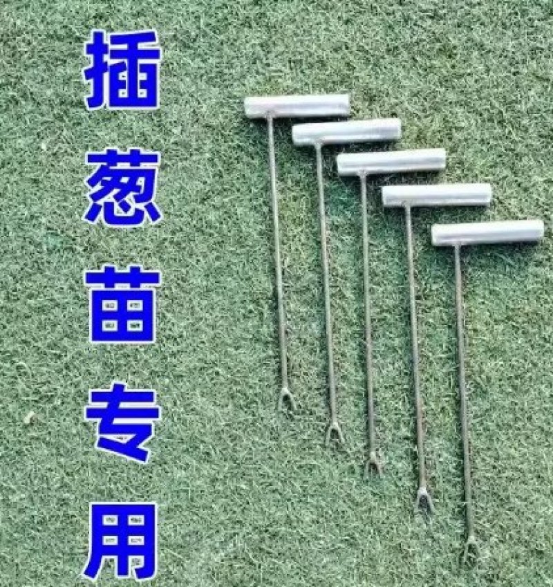插葱苗工具栽葱工具小葱插苗器葱叉子葱插插葱工具
