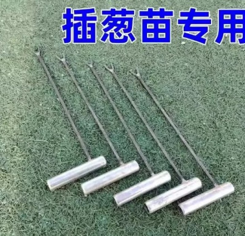 插葱苗工具栽葱工具小葱插苗器葱叉子葱插插葱工具