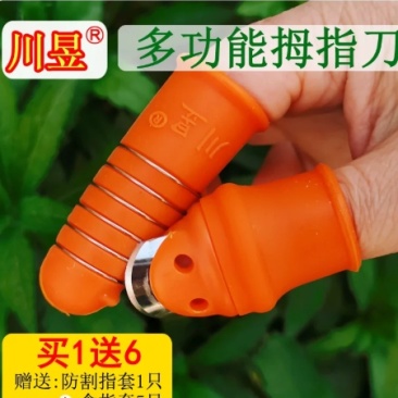 川昱摘菜拇指刀花椒神器不锈钢农用剥豆采茶叶水果蔬防护手指甲套