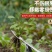 德力西拔草神器除草工具连根间苗不锈钢起苗器挖野菜