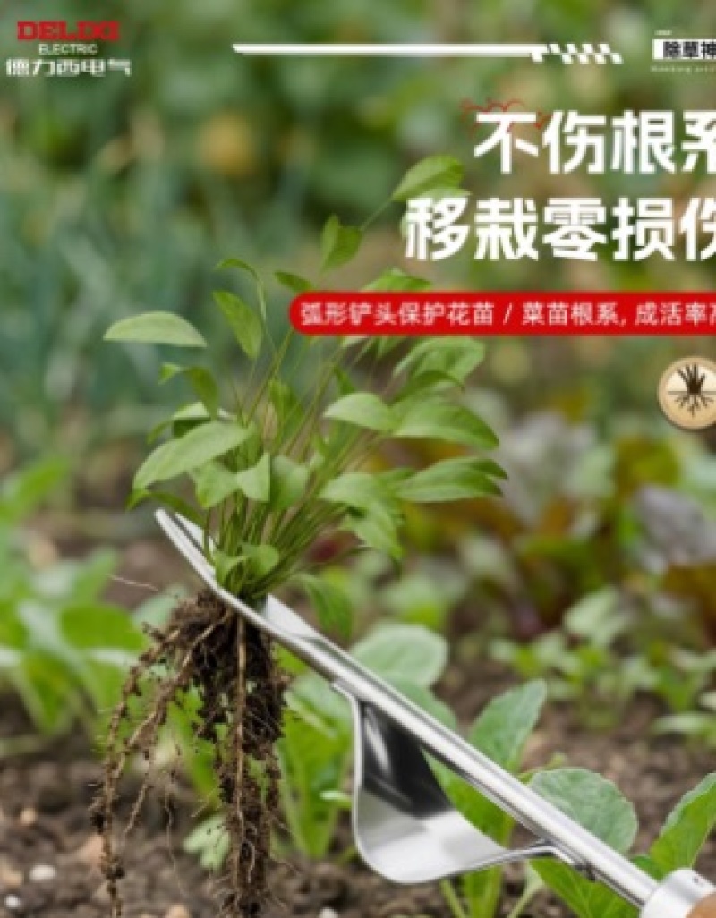 德力西拔草神器除草工具连根间苗不锈钢起苗器挖野菜