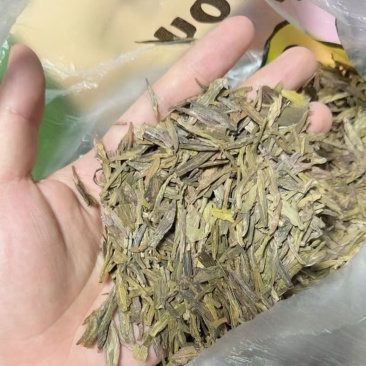 龙井