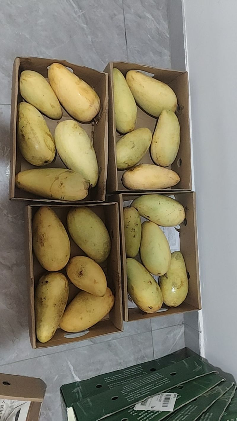 精品，量大单个1-4斤左右