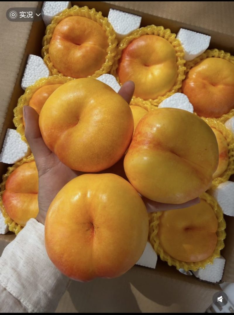 蒙阴黄桃