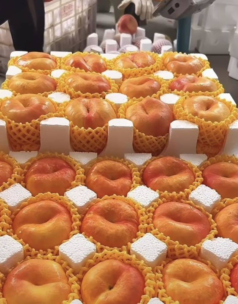 蒙阴黄桃