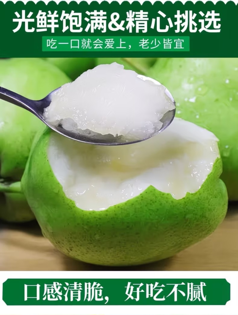 甘肃景泰条山早酥梨高原现摘脆甜多汁新鲜梨子