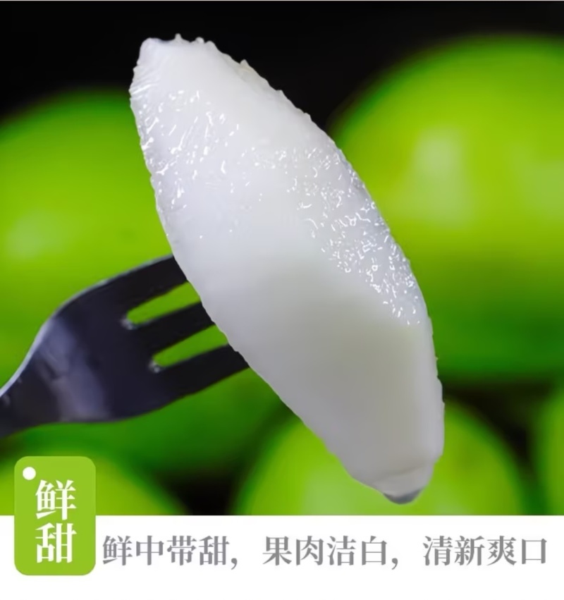 甘肃景泰条山早酥梨高原现摘脆甜多汁新鲜梨子