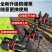 割草机除草轮松土开沟深耕翻土割灌机新款防缠绕齿轮箱配件锄草轮