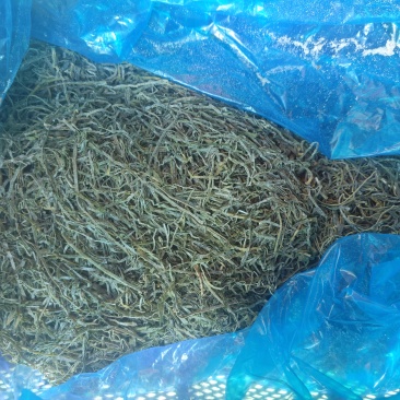 横切海带丝